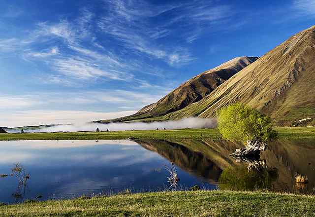 study in newzealand